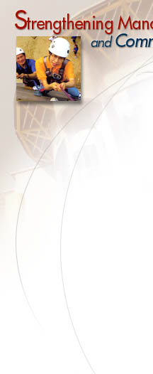 Decoration graphic