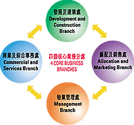 Decoration graphic