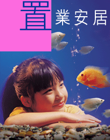 設 計 插 圖 : 置 業 安 居