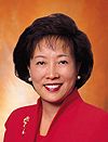Dr the Honourable Rosanna WONG Yick-ming