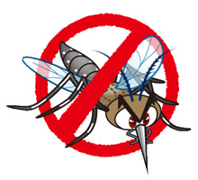 Anti-mosquito Measures