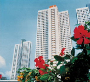 Public Housing Development in Hong Kong (Part 3)