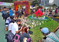 相片：房委会的园景遍种花展的主题花「风信子」，吸引众多市民观赏。