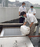 相片：滿晴樓天台水缸進行消毒工作。