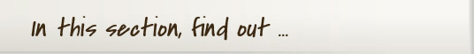 In this section, find out ...