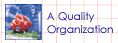 A Quality Organization