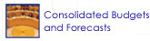 Consolidated Budgets and Forecasts