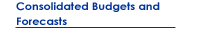 Consolidated Budgets and Forecasts