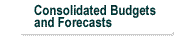 Consolidated Budgets and Forecasts