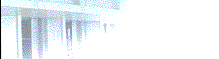 Decoration graphic