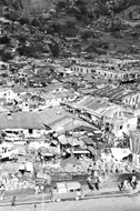 Photo : Shek Kip Mei cottage area in the 60's.
