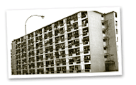 1961 photo
