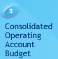 3 Consolidated Operating Account Budget