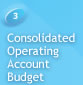 3 Consolidated Operating Account Budget