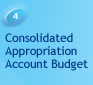 4 Consolidated Appropriation Account Budget