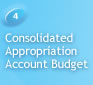 4 Consolidated Appropriation Account Budget