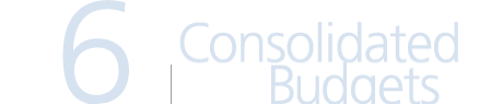 6. Consolidated Budgets