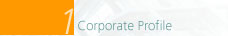 1. Corporate Profile