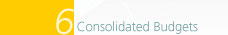 6. Consolidated Budgets
