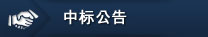 其它选项单：中标公告