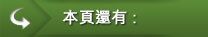 其他選項單：本頁還有