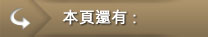 其他選項單：本頁還有