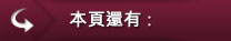 其他選項單：本頁還有