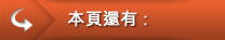 其他選項單：本頁還有