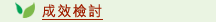 成效檢討