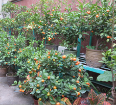 相片: 亞軍 - 水邊圍邨