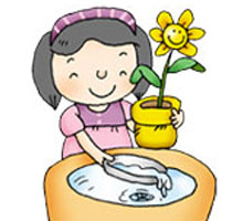 圖片 : 花瓶和水養植物最少一星期換水一次，及勿讓花盆底盤積水