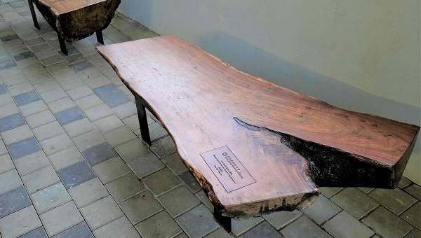 Photo: 木凳巧妙地因应树干本身型态设计而成，正安坐在皇汇楼旁。
