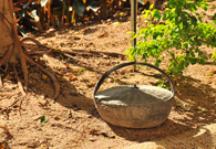 相片：放在泥地上的「籐」籃，讓人聯想起昔日簡樸的農家生活。