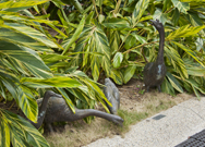 相片：散布邨內各處的鵝雕塑，為屋邨平添生氣。