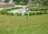 相片：採用高效率的節水系統灌溉戶外草坪。