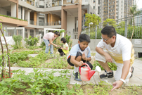相片：園藝小組在社區推廣綠化，積極參與香港花卉展覽(左)和發展社區園圃(右)。