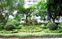 相片：屯門友愛邨的「愛心花園」(左)及園中的心形植物(中)；深水埗海麗邨「蝴蝶園」(右)。