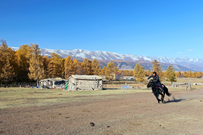 相片：天山牧民