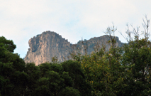 相片：遠眺獅子山。