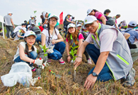 相片：參與人士悉心栽種樹苗，為綠化香港出力。