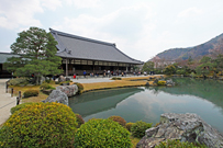 相片：天龍寺庭園