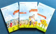 Photo: (From left) The newly published Financial Statements, Annual Report and the leaflet on our Public Rental Housing Portfolio for 2012/13.