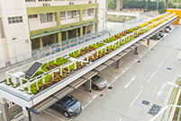 相片：龍逸邨的環保綠化措施：太陽能發電的公共照明燈(左)、綠化的有蓋停車場(右)。