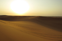 相片：阿拉伯沙漠