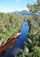 相片：高空走道(Tahune Airwalk)上遠望侯恩河(Huon River)