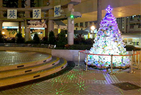 相片：葵芳邨的聖誕樹以3 000個膠樽砌成，高達4米，晚間亮燈後，耀眼生輝。
