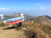 相片：日式鯉魚旗高掛，遠眺難頭營二東山。