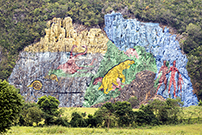 相片：古巴西部Viñales的巨型壁畫Mural de la Prehistoria。