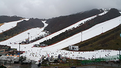 相片：距首爾市中心1.5小時車程的洪川大明滑雪場。