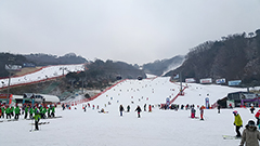 相片：滑雪道寬闊，適合初學者。